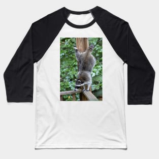 Raccoon Acrobatics Baseball T-Shirt